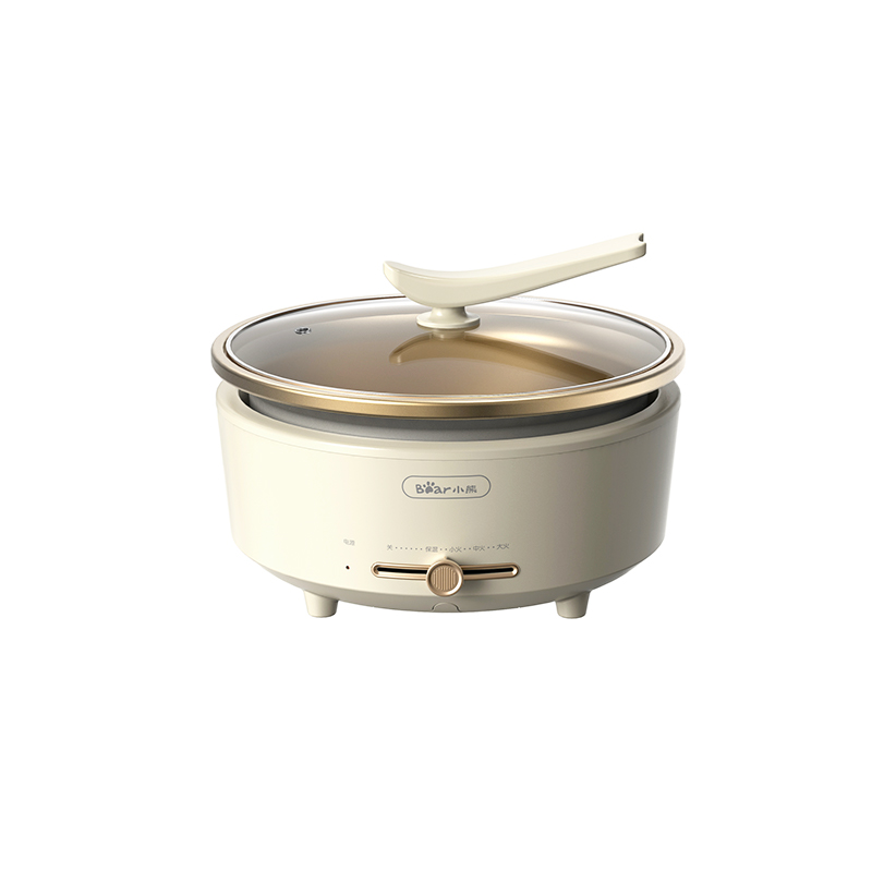 Multi-Function Electric Cooker
