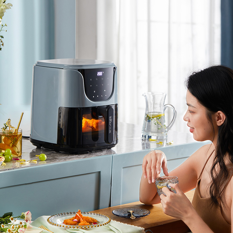 Visible Air Fryer