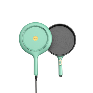Electric Grill